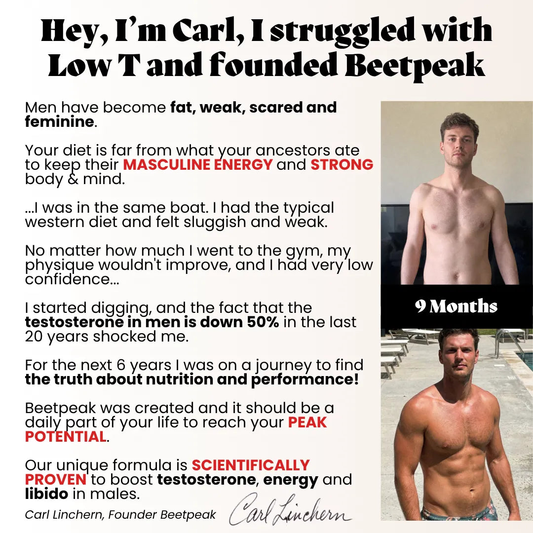 Natural Testosterone Support offer v3
